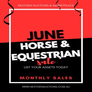 MONTHLY HORSE AND EQUESTRIAN ONLINE AUCTION