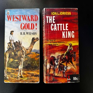 Selection of two novels as in photos