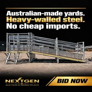AUSSIE MADE Cattle Yards HEAVY DUTY