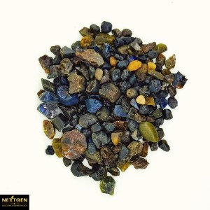 213ct Australian Sapphire rough parcel 0031