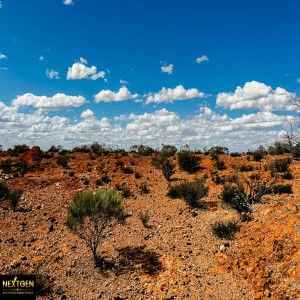 Sandstone Gold Mining Camp and Leases