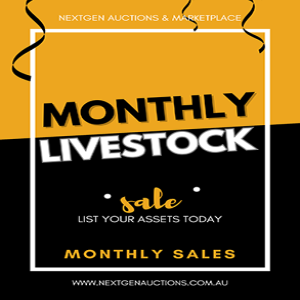 Online Livestock Auction Cattle Sheep Goats Camels Donkey Poultry