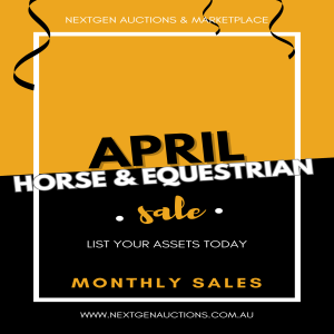 Monthly Horse  Equestrian Auction