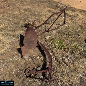 Horse Drawn Plow
