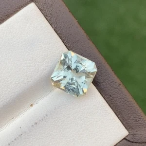 5ct Precision cut Prasiolite 208