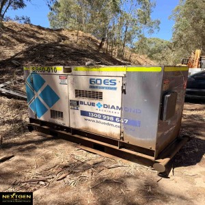 Blue Diamond Machinery Generator Not running