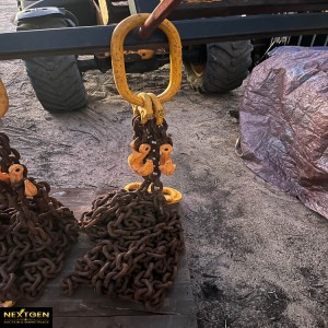 Lifting Chains